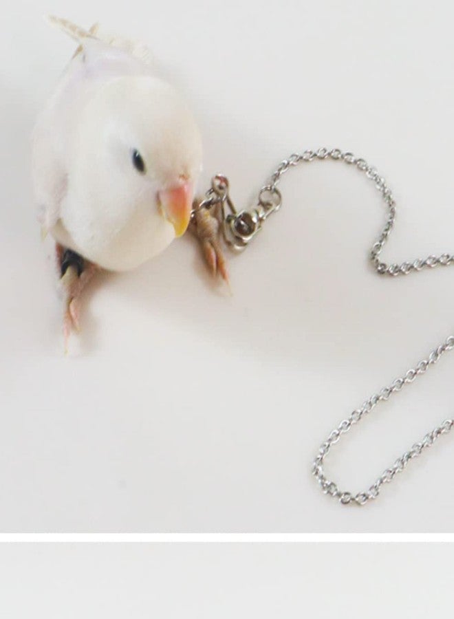 Barn Eleven Bird Foot Chain Flying Stainless Steel Training Rope Outdoor Parrot Ankle Foot Ring Accessories Bird Harness Leash Prevent Escaping (4#) - Image 5