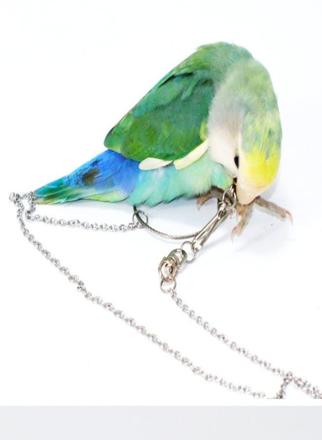 Barn Eleven Bird Foot Chain Flying Stainless Steel Training Rope Outdoor Parrot Ankle Foot Ring Accessories Bird Harness Leash Prevent Escaping (4#) - Image 4