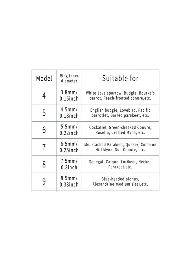 Barn Eleven Bird Foot Chain Flying Stainless Steel Training Rope Outdoor Parrot Ankle Foot Ring Accessories Bird Harness Leash Prevent Escaping (4#) - Image 2