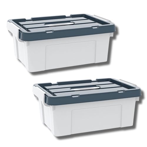 HoopVool® Multipurpose Storage Box with Lid and Handles for Clothes, Toys, Household Items, Kitchen, and Stationery (Pack of 2, Small - 42 X 30 X 17 CM) - Image 1