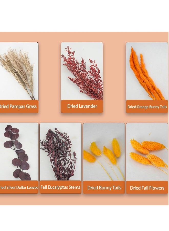 باقة من أعشاب البامباس المجففة لخشب الخريف، ذيول الأرنب البرتقالية الطبيعية والزهور المجففة للفازات، تنسيق زهور زفاف بوهو الخريف، زينة مركز الطاولة لخريف مميز - Image 5