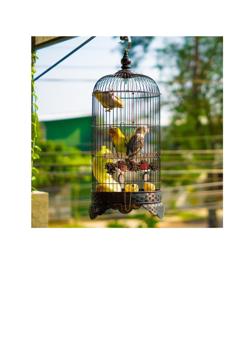 Bird Perch Stand Perches for Bird Cages, Bird Cage Parrot Toys, Natural Wood Bird Perch Stand,Bird Cage Accessories for Parrots for Parakeet Parrot, Cockatiel, Budgerigar, Conure, Lovebirds