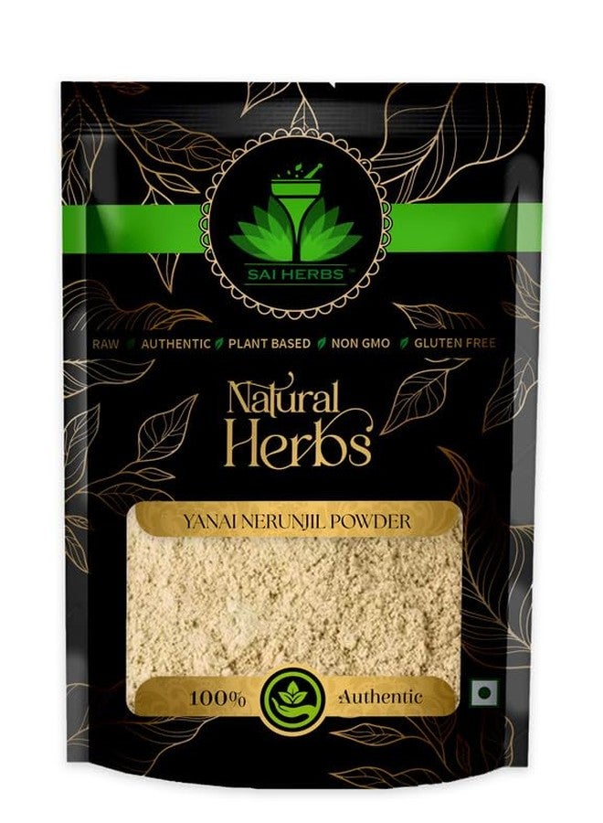 SAI HERBS مسحوق ياناي نيرونجيل من ساي هيربس - مسحوق نبات الكالتروبس الكبير المجفف - نقي وطبيعي (250 غرام) - Image 1