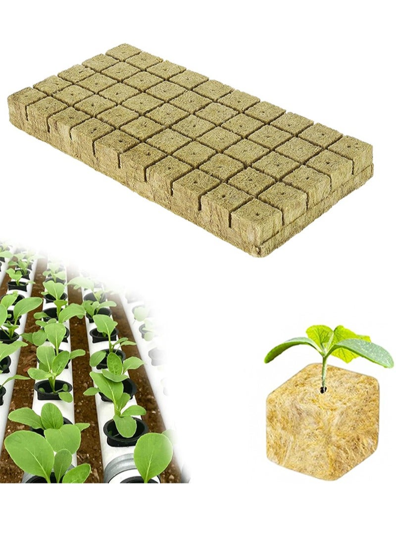 ايكانبو 50 قطعة من مكعبات الصوف الصخري للحديقة، قرون الزراعة المائية، سدادات بدء الزراعة المائية بدون تربة، الشتلات، قصاصات الاستنساخ وإكثار النباتات (2.5*2.5*2.5 سم) - Image 1