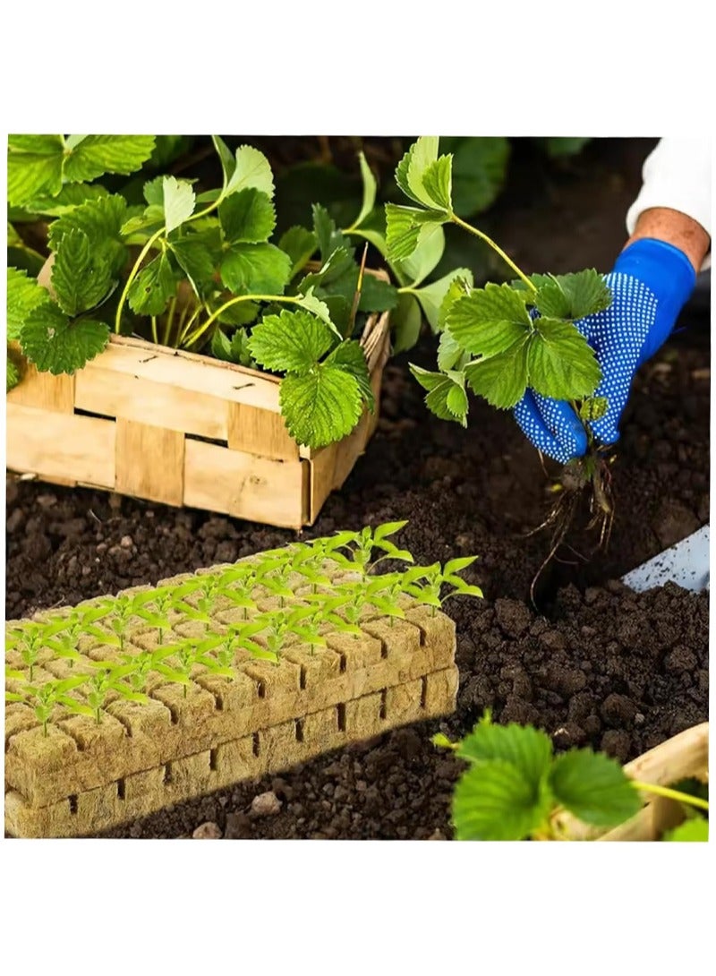 ايكانبو 50 قطعة من مكعبات الصوف الصخري للحديقة، قرون الزراعة المائية، سدادات بدء الزراعة المائية بدون تربة، الشتلات، قصاصات الاستنساخ وإكثار النباتات (2.5*2.5*2.5 سم) - Image 3