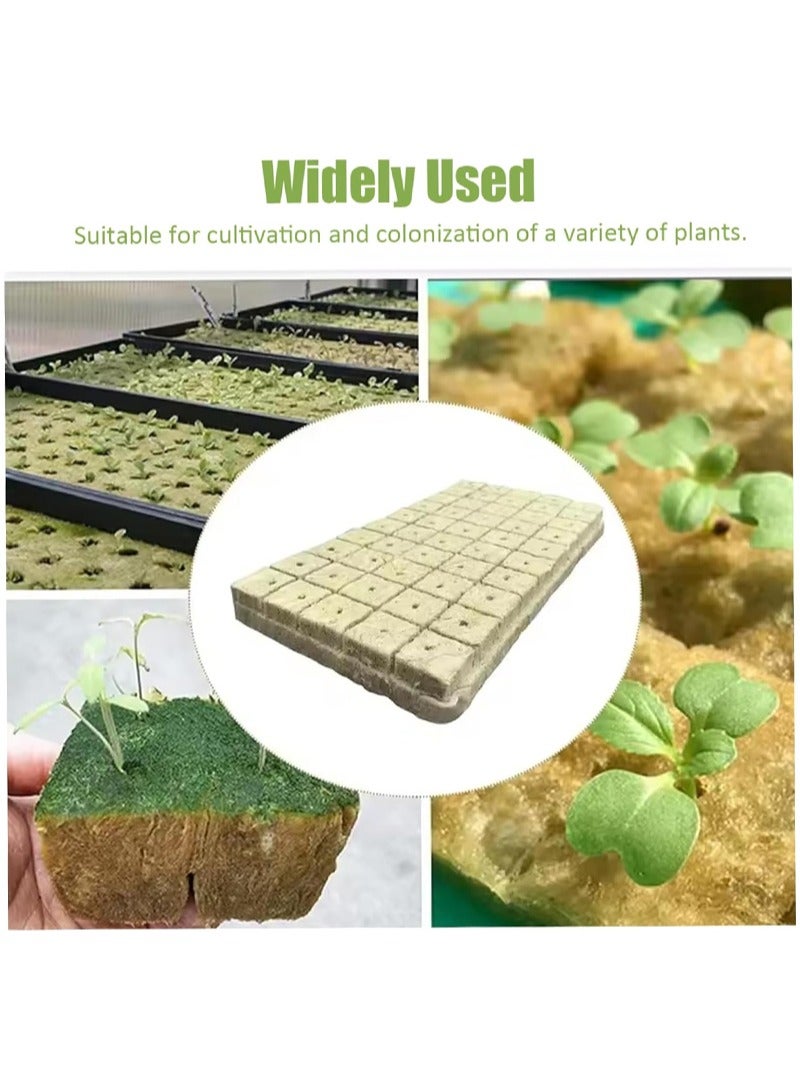 ايكانبو 50 قطعة من مكعبات الصوف الصخري للحديقة، قرون الزراعة المائية، سدادات بدء الزراعة المائية بدون تربة، الشتلات، قصاصات الاستنساخ وإكثار النباتات (2.5*2.5*2.5 سم) - Image 2