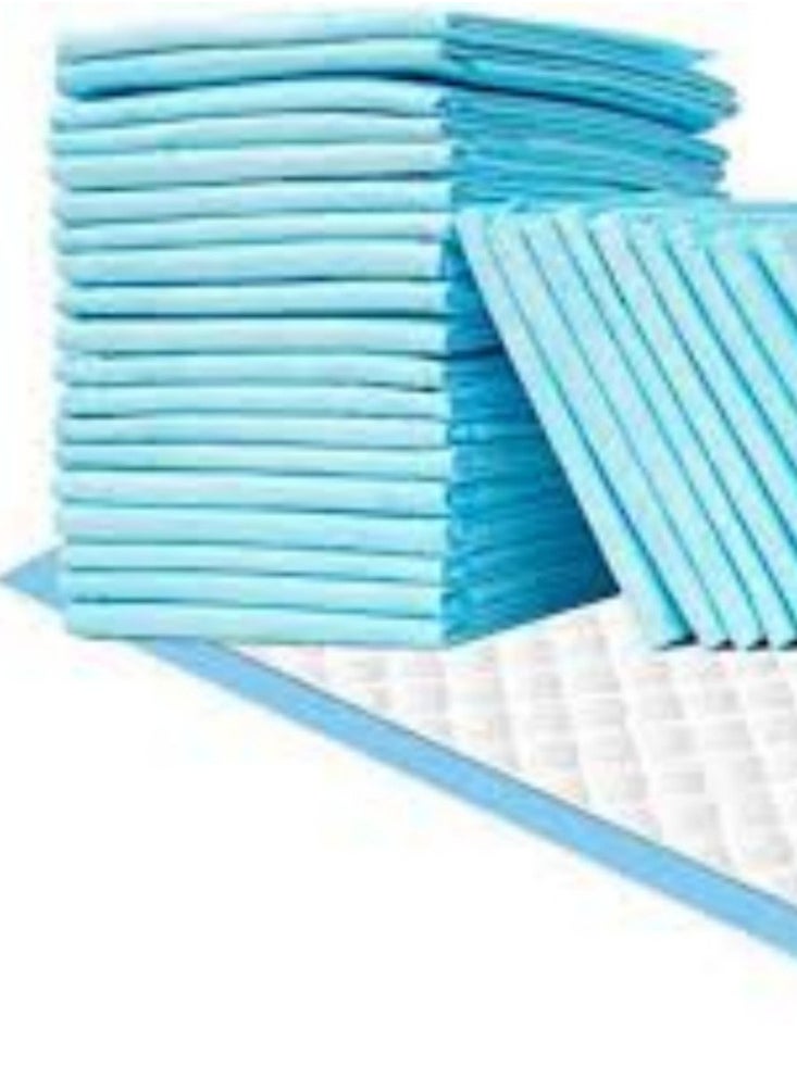 25 PCS  Bag High Absorbent Bed sheets UnderPad 60x90 cm - pzsku/Z25CD93C8783230BECF27Z/45/_/1733052955/743ac1d2-5b0b-44f2-a380-c5c65422ad38