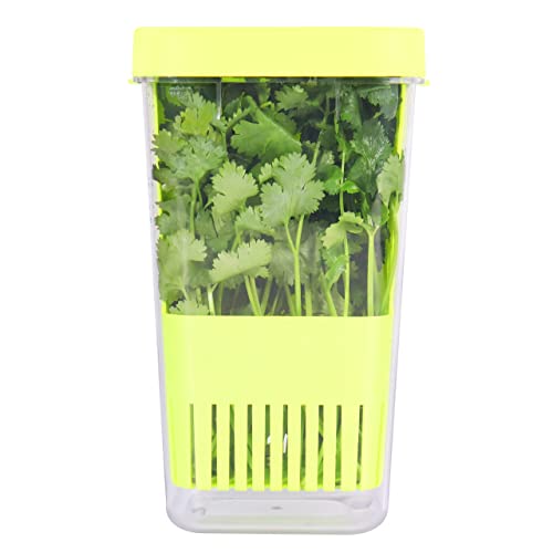 LUVCOSY Herb Keeper BPAFree Plastic Herb Saver with an Inner Basket for Cilantro Mint Parsley and Asparagus Keeps Fresh Herbs for 3 Times Longer1Pcs Green