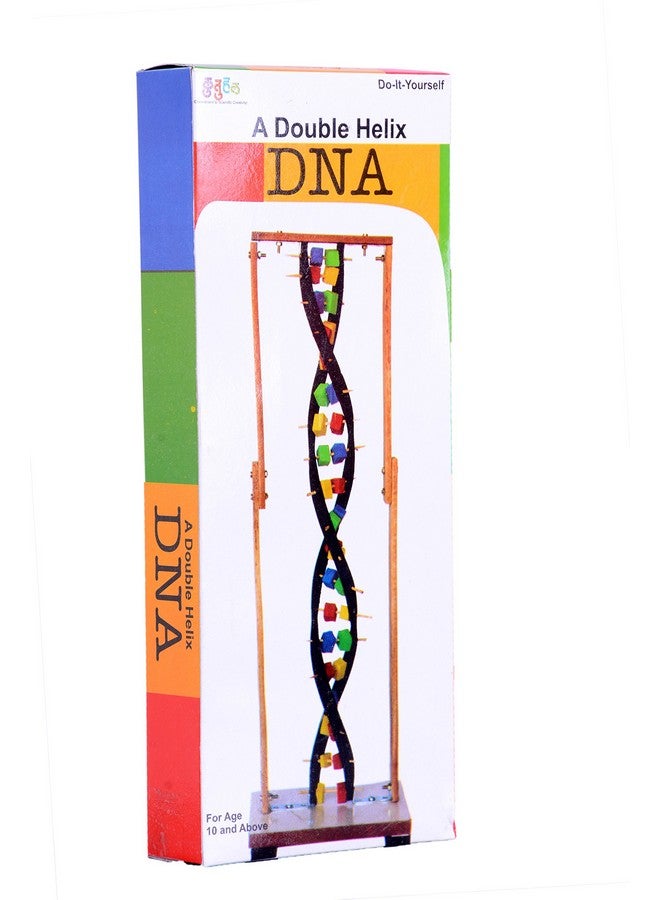 kutuhal double helix dna model making kit. hands-on biology concepts learning kit- Multi color - Image 1