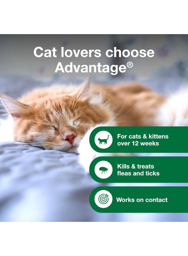 Advantage Cat Flea & Tick Shampoo for Kittens & Adult Cats | Kills Fleas & Ticks | 8 oz. - Image 5