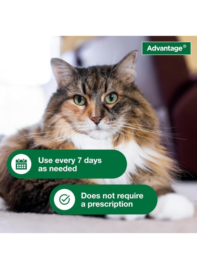 Advantage Cat Flea & Tick Shampoo for Kittens & Adult Cats | Kills Fleas & Ticks | 8 oz. - Image 4