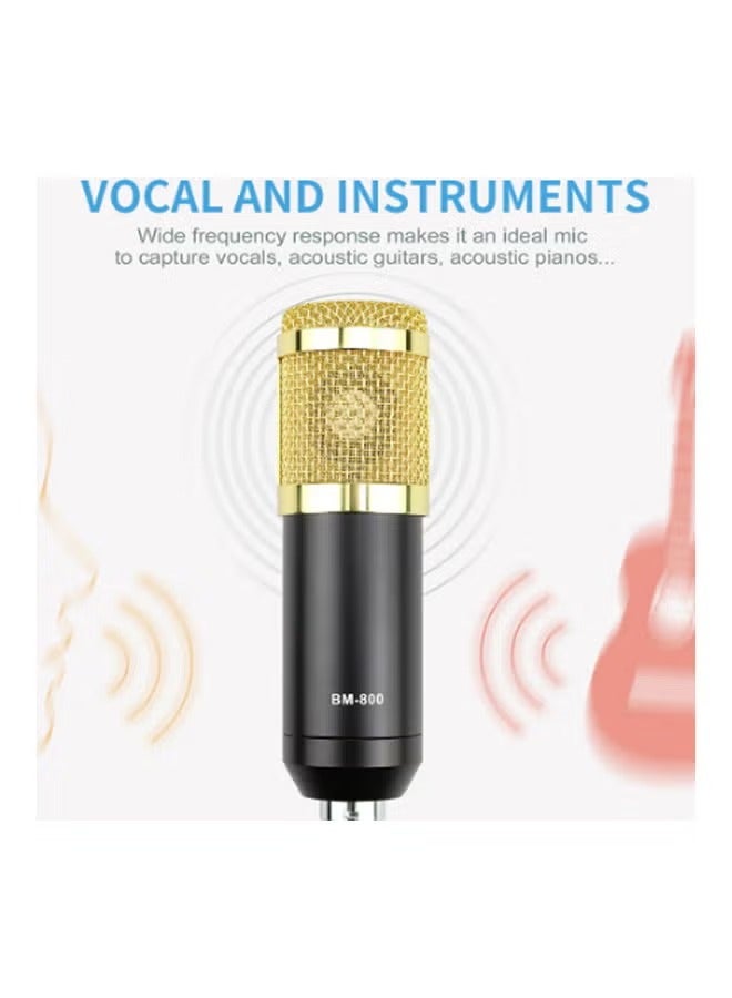 Sound Card Microphone Recording Set PSM-MMic010 Muticolour - Image 3