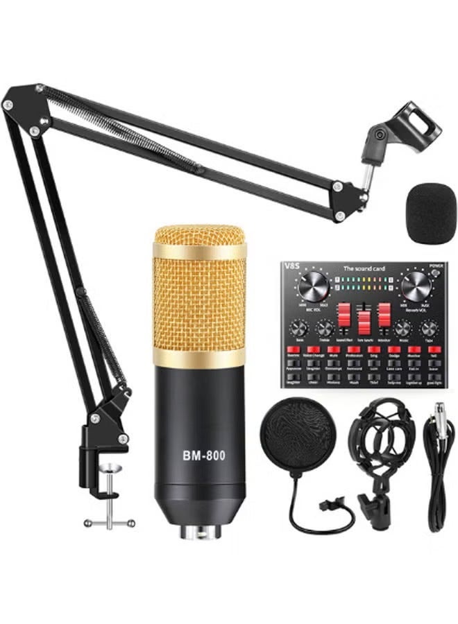 Sound Card Microphone Recording Set PSM-MMic010 Muticolour - Image 2