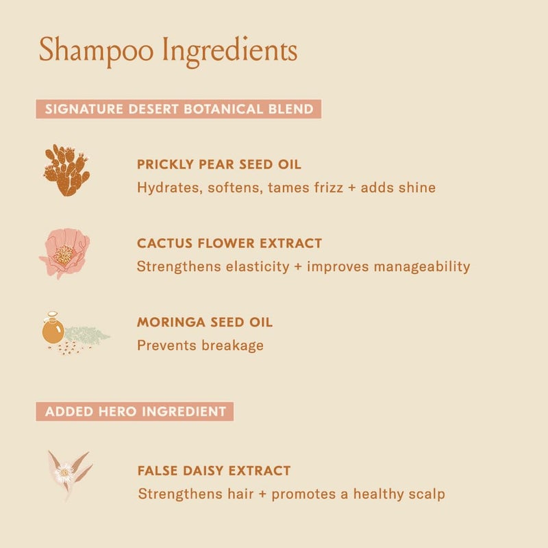 DAE مجموعة دوي المميزة (شامبو وبلسم) - Image 4