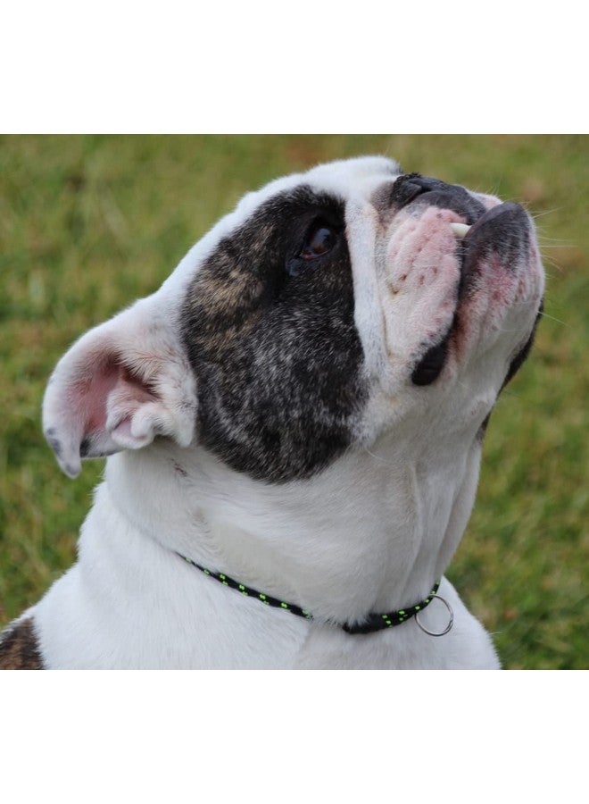 طوق تعريف الكلاب من ناشيونال ليش ماونتن روب - أضواء الشمال - متوسط (14-20 بوصة) - خفيف للغاية - Image 2