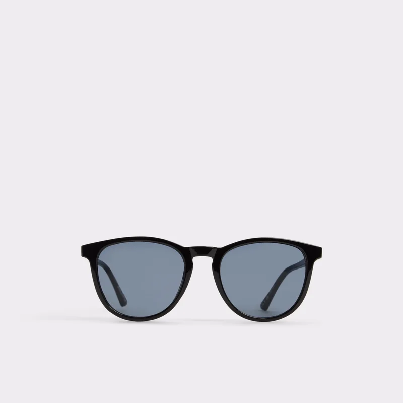 ALDO Suummitt Wayfarers Sunglasses