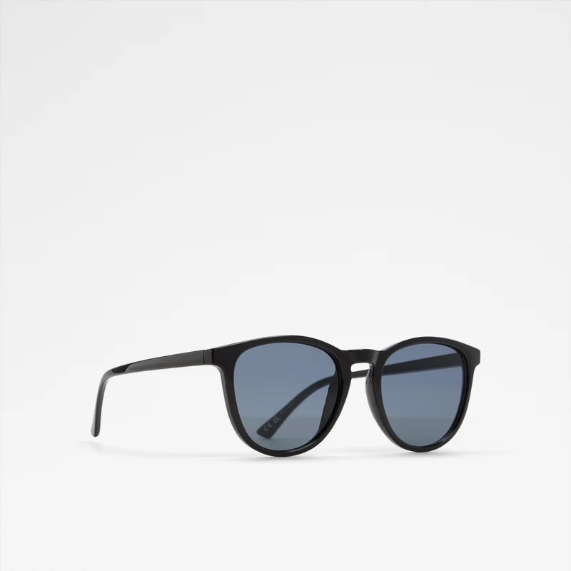 ALDO Suummitt Wayfarers Sunglasses