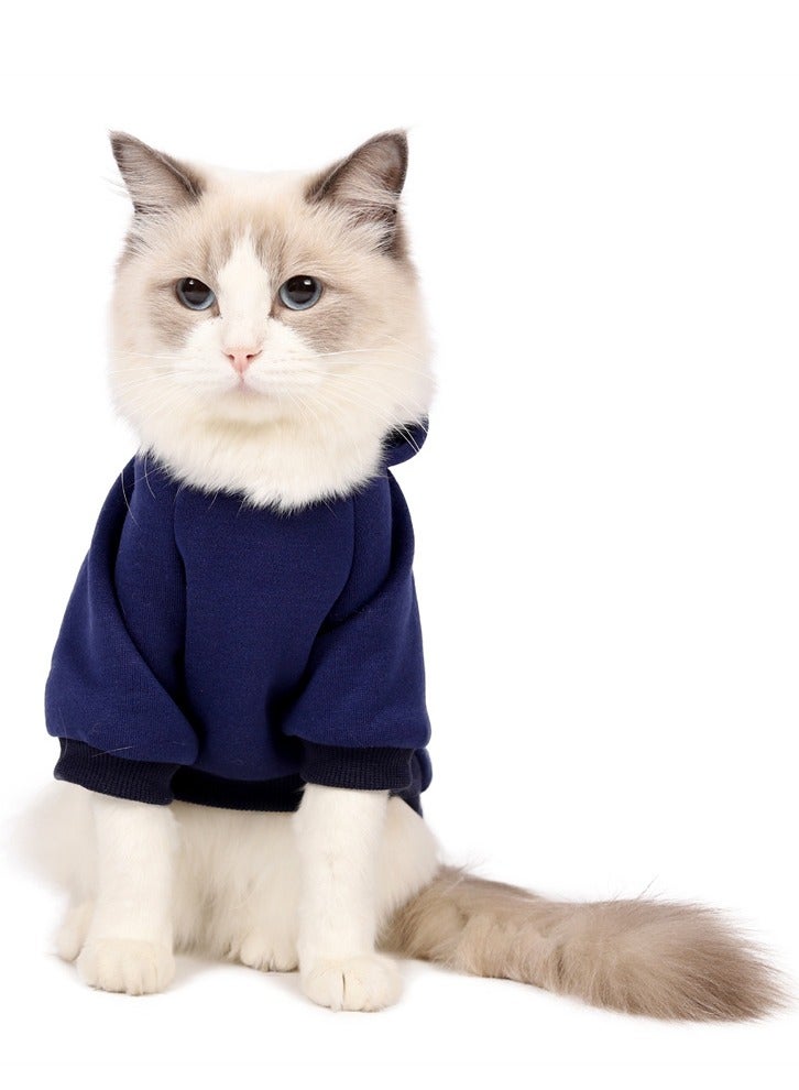 Loquat Squality Autumn And Winter Clothing Pure Color Hooded Hoodie Blue - Image 1
