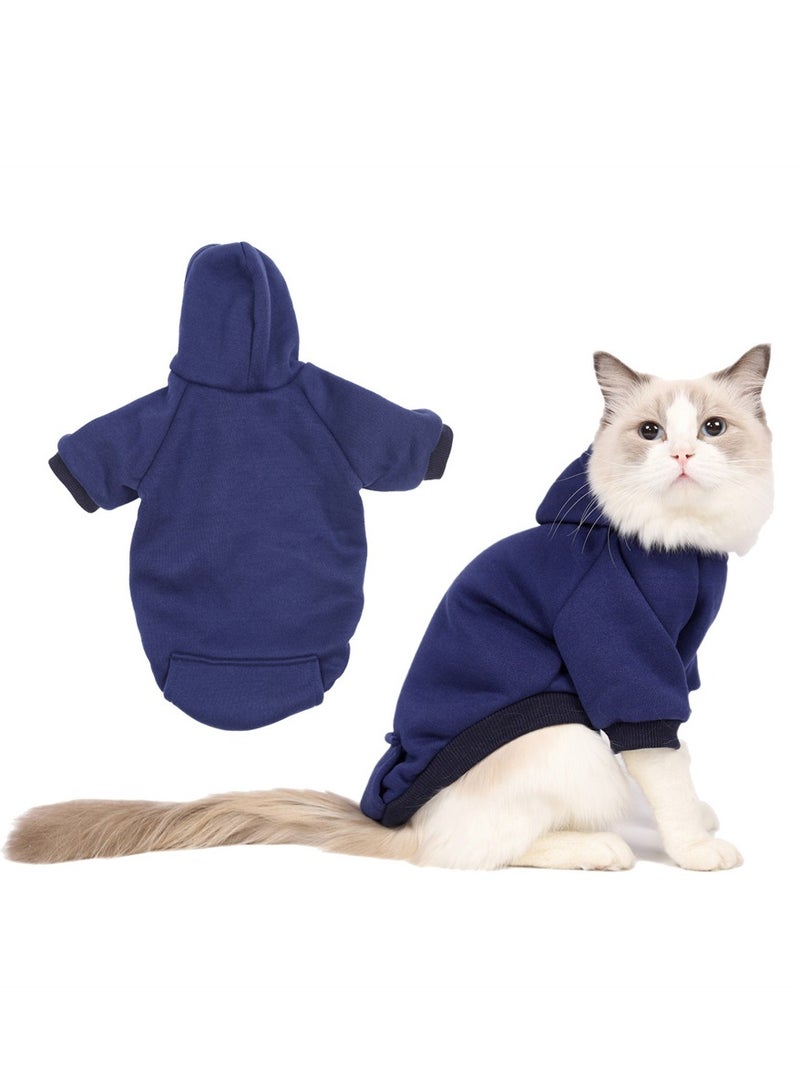 Loquat Squality Autumn And Winter Clothing Pure Color Hooded Hoodie Blue - Image 2