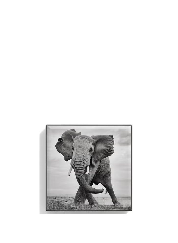 Chantecaille Luminescent Eye Shade - Elephant - Image 4