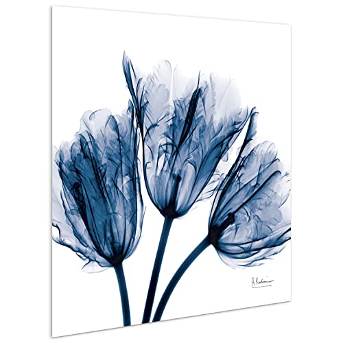 Empire Art Direct - TMP-AK011A-2424 Blue Tulip X-Ray Flower Wall Art on Frameless Free Floating Tempered Glass Panel Ready to Hang, Living Room, Bedroom ＆ Office, 24" x 24" x 0.2" - Image 4