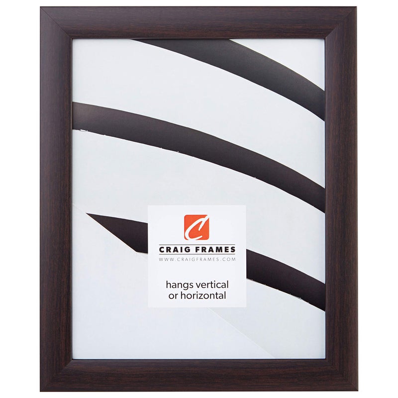 Craig Frames 23247778 20 by 20Inch Picture Frame Smooth Wrap Finish 1Inch Wide Brazilian Walnut Brown