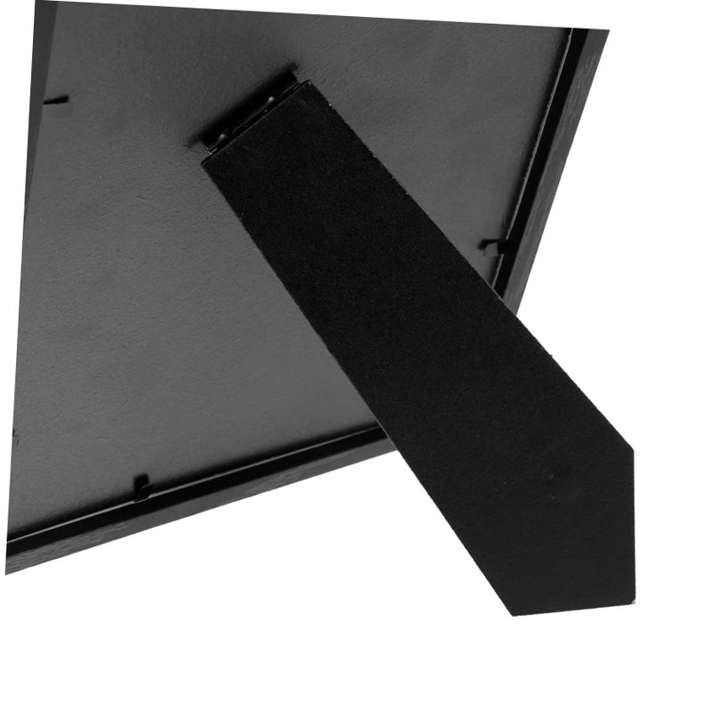 Butterfly Insect Display Frame Shadow Box Photo Specimen Case For Collectors White - Image 4