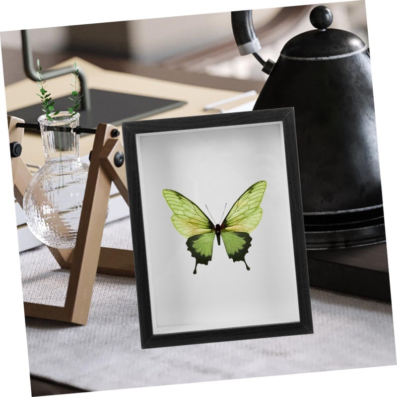 Butterfly Insect Display Frame Shadow Box Photo Specimen Case For Collectors White - Image 5