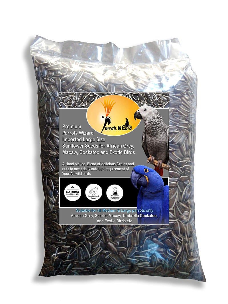Parrots Wizard Parrot Wizard, Sunflower Seeds For Gray Parrot (4750 Grams), Bird, Adult, 1 Count - Image 5