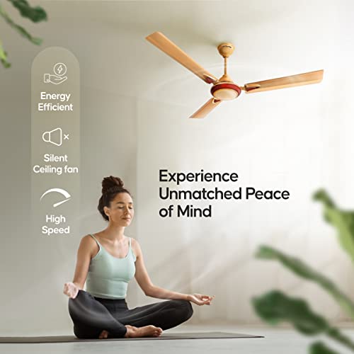 Longway Starlite-1 1200mm/48 inch High Speed Anti-dust Decorative 5 Star Rated Ceiling Fan 400 RPM with 3 Year Warranty (Golden Beige, Pack of 1) - Image 5