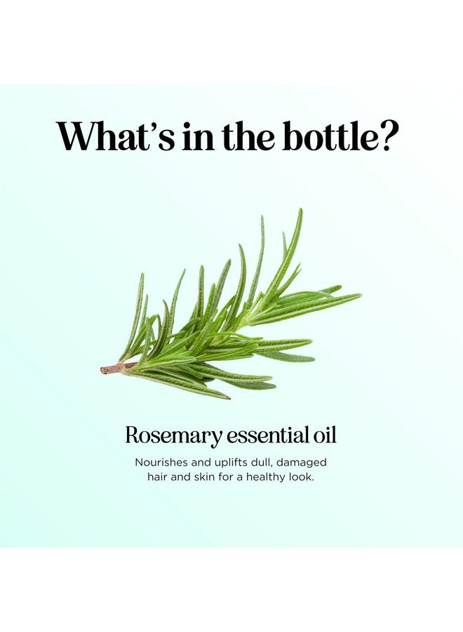 Maple Holistics Pure Rosemary Essential Oil With Dropper - Undiluted Rosemary Oil For Hair Skin And Nails And Refreshing Aromatherapy Oil For Diffusers - Rosemary Essential Oil For Cleansing Dry Scalp Care 4Oz - Image 2