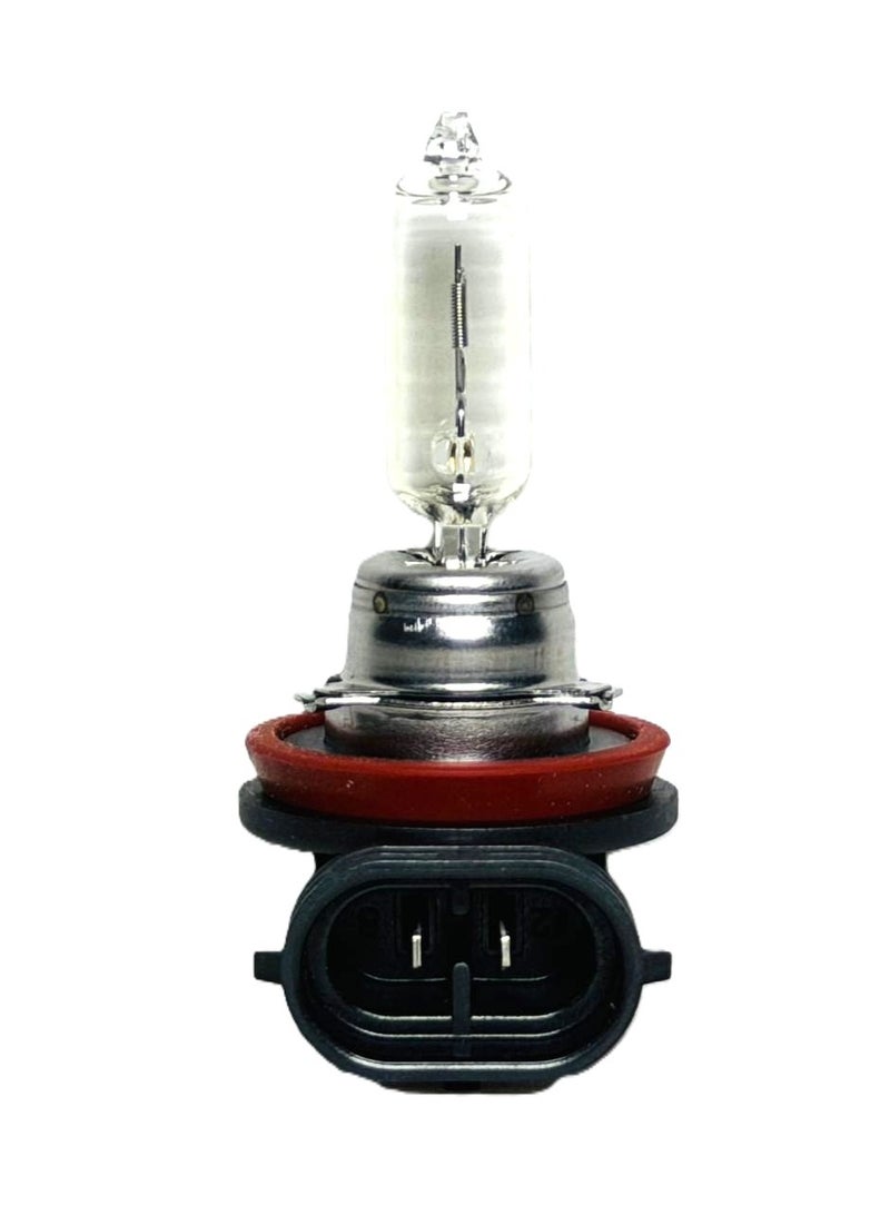 BIOLIGHT H9 Halogen Headlight Bulb 12V 65W - Image 4