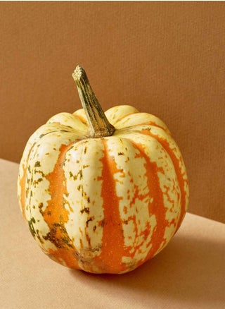 30pcs Pumpkin Seeds Rare Juicy Ornamental Pumpkin Annual Seed Garden Can Be Used - pzsku/Z25DCAE70C13607CDCCDEZ/45/_/1654598818/8fabf7f6-8183-45dd-85b4-7ed0ea7e150a