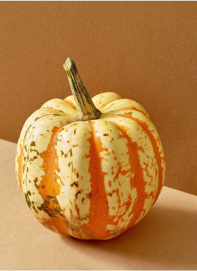30pcs Pumpkin Seeds Rare Juicy Ornamental Pumpkin Annual Seed Garden Can Be Used