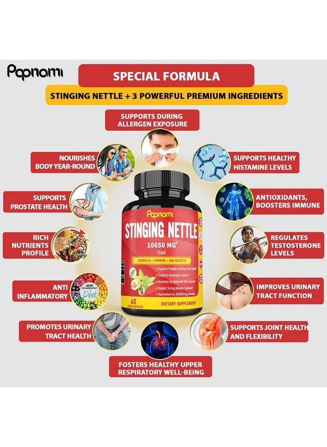 Papnami Stinging Nettle Root Extract Capsules Equivalent To 10650Mg 2 Months Supply - Image 5