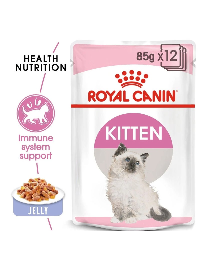 Royal Canin Feline Health Nutrition Kitten Sterilised Jelly (WET FOOD - Pouches) 12 x 85g - Image 3