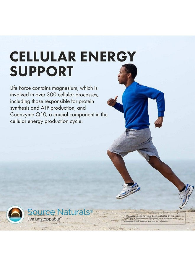 Source Naturals Men's Life Force Multiple Daily Multivitamin & Immune Health Supplement - 13 Essential Vitamins, Nutrients & Minerals - 180 Tablets - Image 5