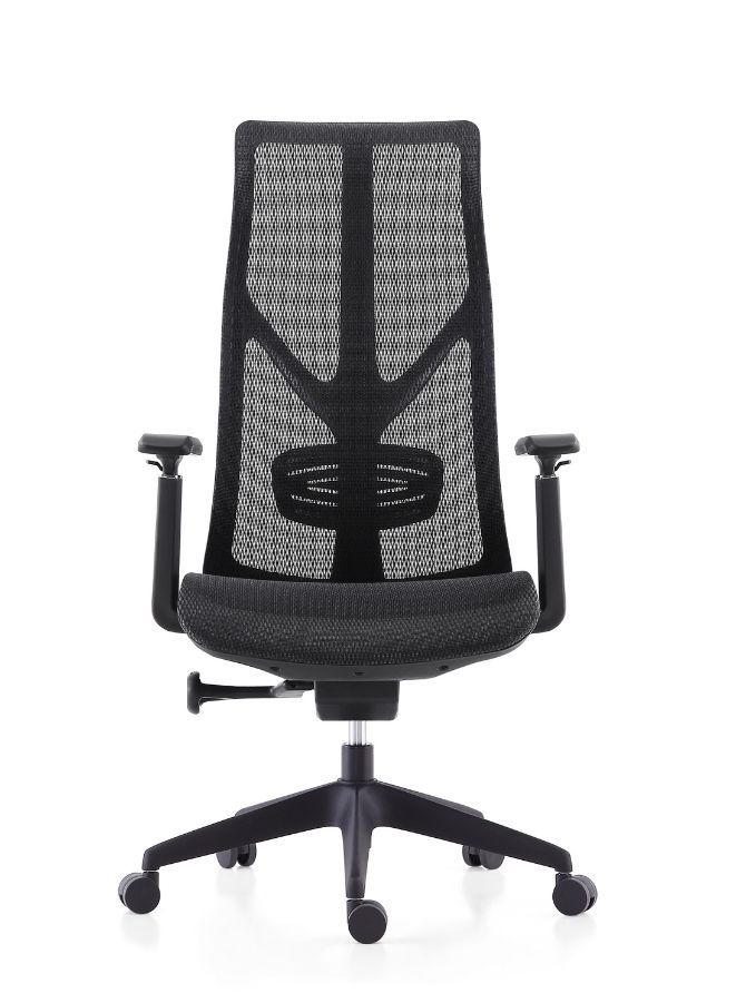 High Back Executive Office Chair Without Headrest – Ergonomic Design with 3D Armrests and Certified Back Support for Office, Home, and Shops - Image 1