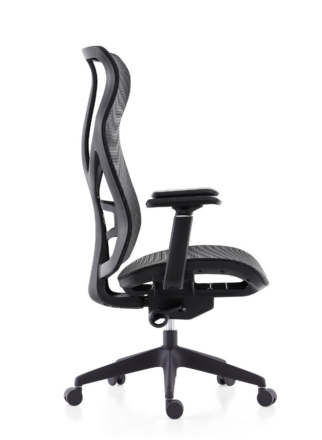 High Back Executive Office Chair Without Headrest – Ergonomic Design with 3D Armrests and Certified Back Support for Office, Home, and Shops - Image 2