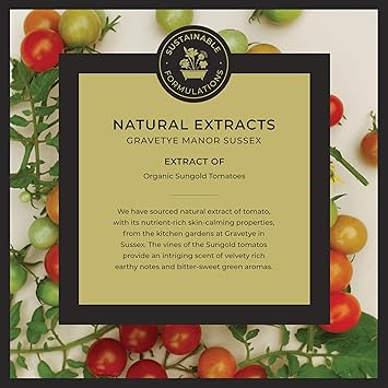 Noble Isle Hand Wash Luxury Hand Wash Liquid Soap For Men Women Organic Vegan Friendly Real Perfume Britain In A Bottle Hand Soap Made In The UK Greenhouse 250ml - Image 4