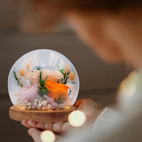 HUACHIPLUS Forever Flower Gifts for Her Perfect Flowers for GraduationDaughter Wife Mom GrandmaPreserved Flowers in Glass DomeFlowers for Delivery Prime on Birthday Anniversary Valentines Champagne - Image 3