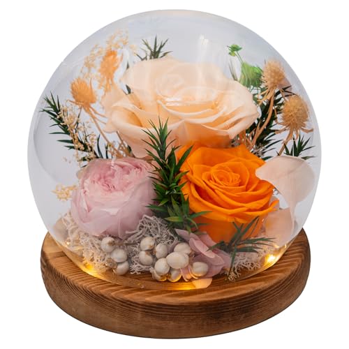 HUACHIPLUS Forever Flower Gifts for Her Perfect Flowers for GraduationDaughter Wife Mom GrandmaPreserved Flowers in Glass DomeFlowers for Delivery Prime on Birthday Anniversary Valentines Champagne - Image 1
