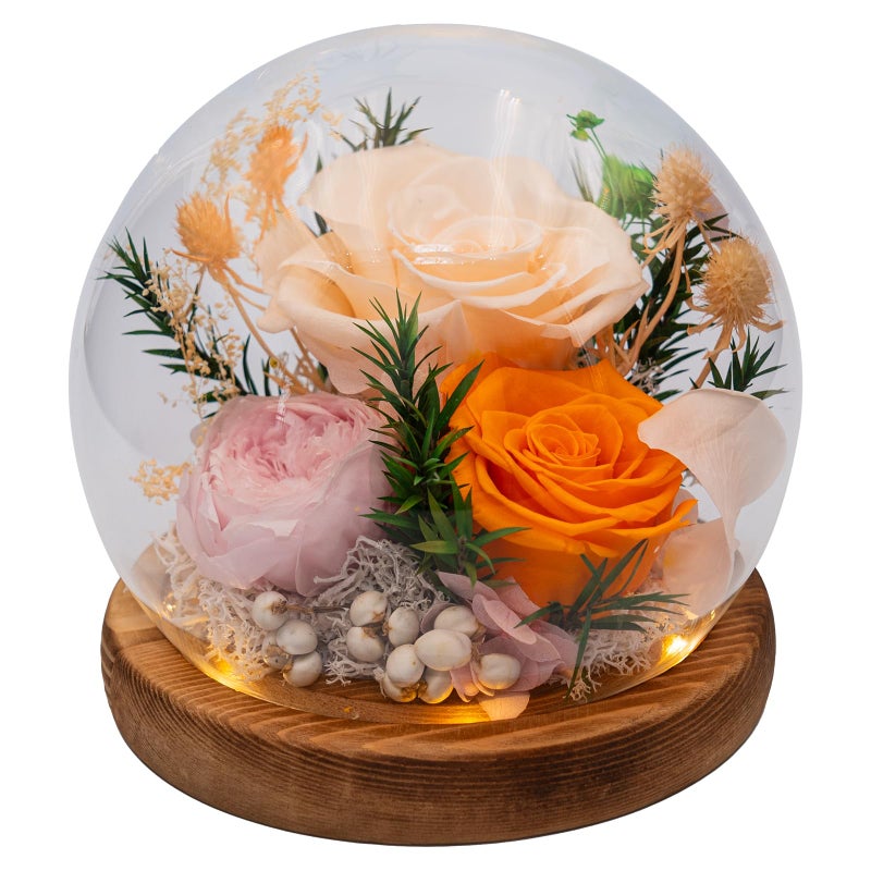 HUACHIPLUS Forever Flower Gifts for Her Perfect Flowers for GraduationDaughter Wife Mom GrandmaPreserved Flowers in Glass DomeFlowers for Delivery Prime on Birthday Anniversary Valentines Champagne - Image 2