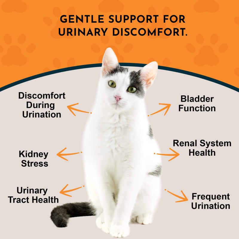 Animal Essentials تونك تينكل من أنيمال إيسينشالز - دعم المسالك البولية للكلاب والقطط، مكمل للكلى، يدعم المسالك البولية، صحة المثانة للحيوانات الأليفة، مع المارشميلو - 2 أونصة سائلة - Image 2