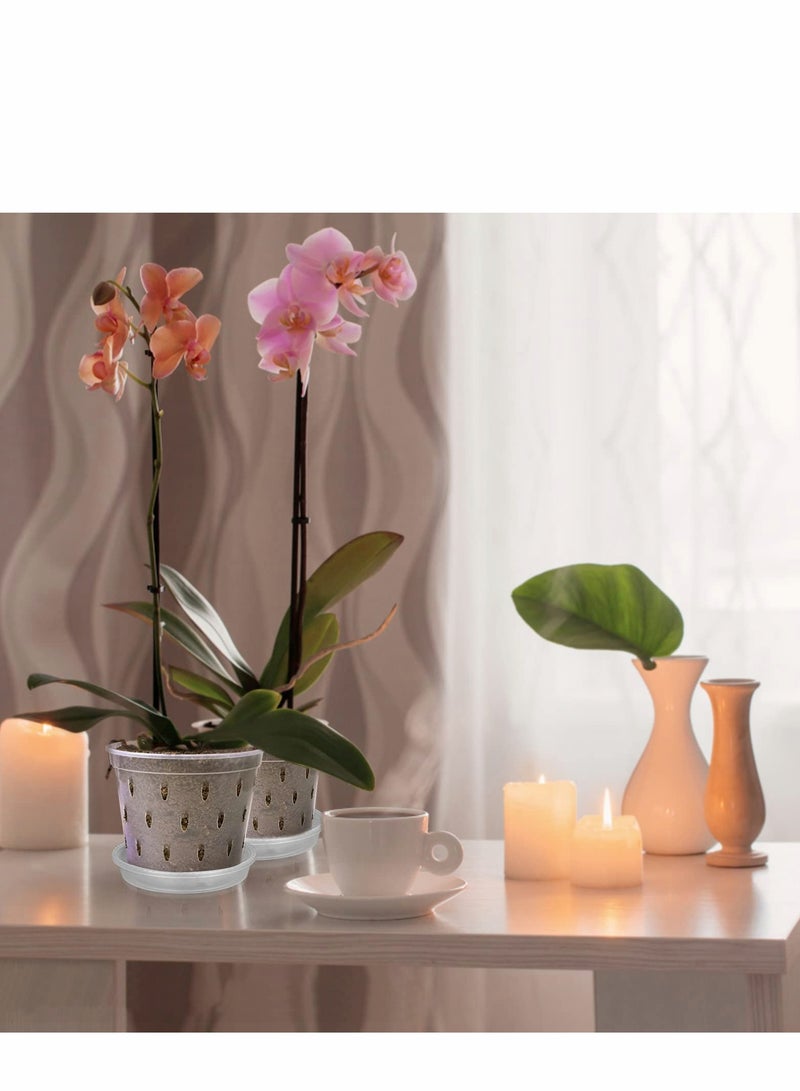 5.5 inch Clear Plastic Orchid Pots 10 Pack with Saucers - Ideal for Succulents, Indoor and Outdoor Flowers. - Image 2
