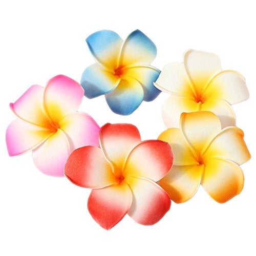 Hustar 10 Pcs 5CM Artificial Hawaiian Plumeria Flower Hair Clips Hair Accessories for Beach Fancy Dress - Image 1