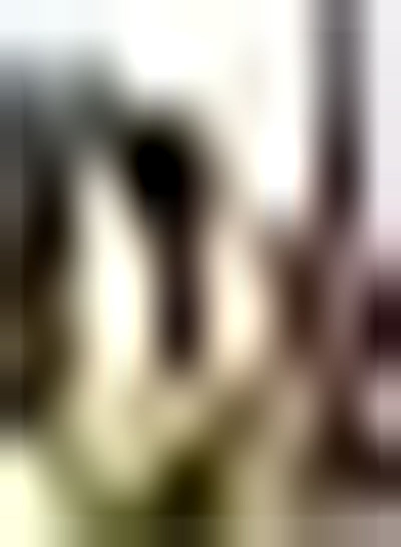 GGOOT 100pcs Lupine seeds Perfect Wonderful Lasting Blooming Beautiful Flowers Ornamental Varieties Loved by Gardeners for Garden Balcony Window Planting - Image 1