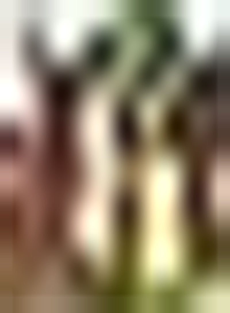 GGOOT 100pcs Lupine seeds Perfect Wonderful Lasting Blooming Beautiful Flowers Ornamental Varieties Loved by Gardeners for Garden Balcony Window Planting - Image 2