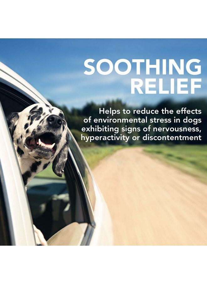 Vet's Best Vet's Best Comfort Calm Calming Soft Chews Dog Supplements | Dog Calming Aid Supports Dog Balances Behavior | Promotes Relaxation | 90 Day Supply  - Image 3