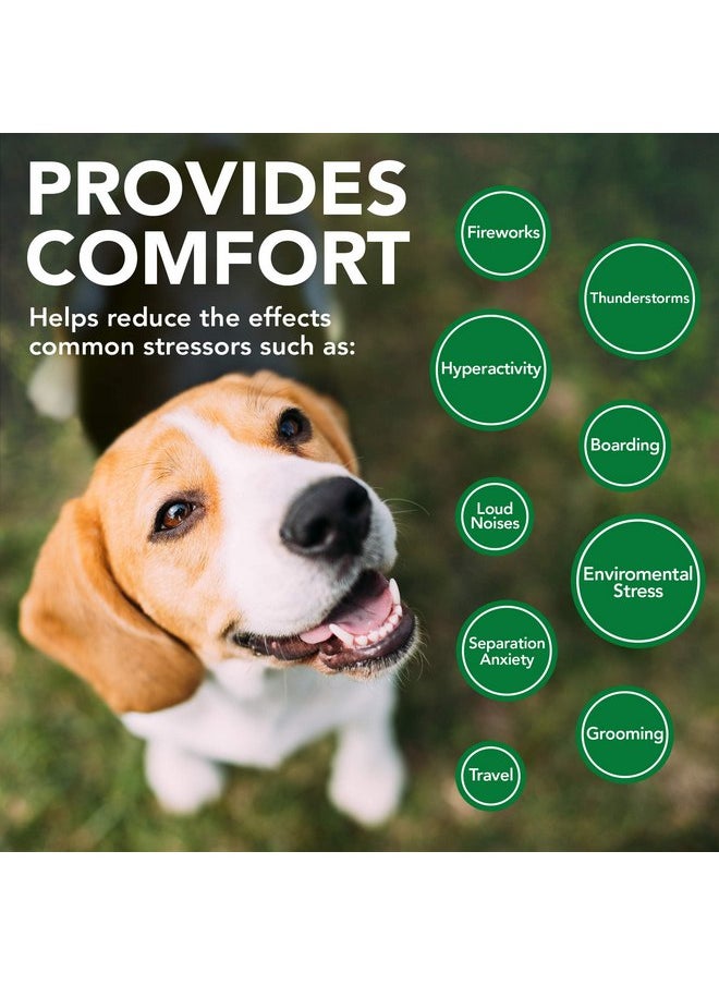 Vet's Best Comfort Calm Calming Soft Chews Dog Supplements | Dog Calming Aid Supports Dog Balances Behavior | Promotes Relaxation | 90 Day Supply - pzsku/Z25E3B73A1BF133273B26Z/45/_/1737031928/30802119-864e-40d3-9502-13415bca1a23